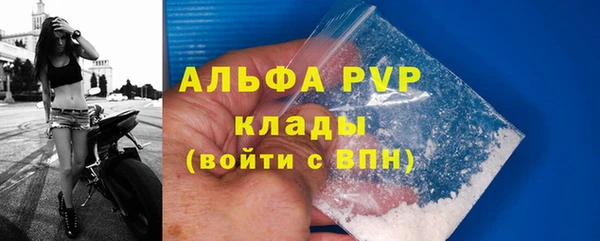 ПСИЛОЦИБИНОВЫЕ ГРИБЫ Белоозёрский