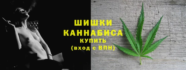 ПСИЛОЦИБИНОВЫЕ ГРИБЫ Белоозёрский