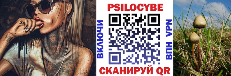 Псилоцибиновые грибы прущие грибы  Моздок 
